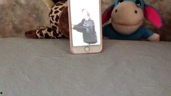 吃瓜娱乐音乐盒,一场听觉与视觉的盛宴  第3张